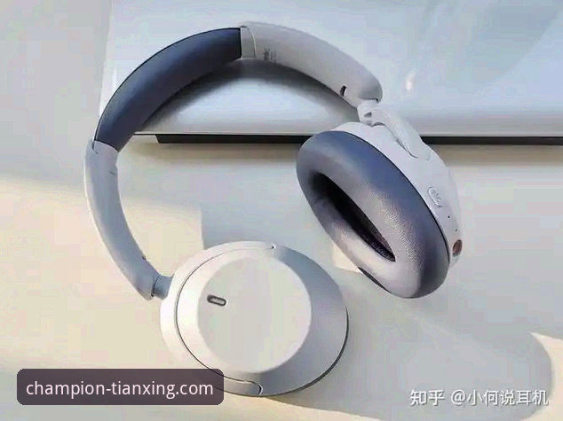 天行体育与K7T3对比实用指南：选对平台少走弯路