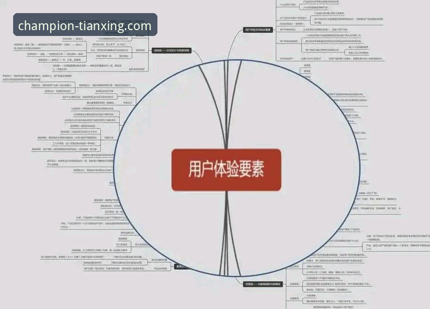 老用户亲测：天行体育平台注册流程与使用体验深度分享